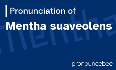 how to pronounce mentha-suaveolens feature image