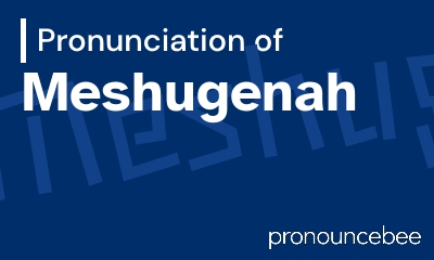 how to pronounce meshugenah feature image
