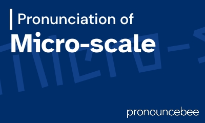 how to pronounce micro-scale feature image