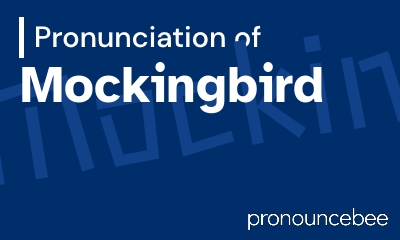 how to pronounce mockingbird feature image