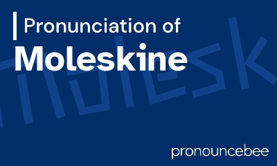 how to pronounce moleskine feature image
