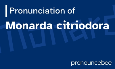 how to pronounce monarda-citriodora feature image