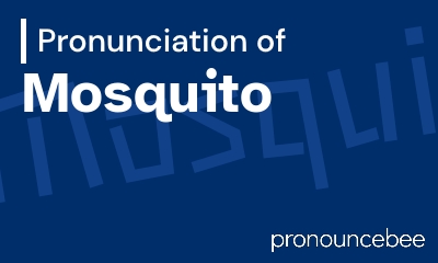 how to pronounce mosquito feature image