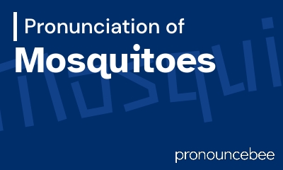 how to pronounce mosquitoes feature image