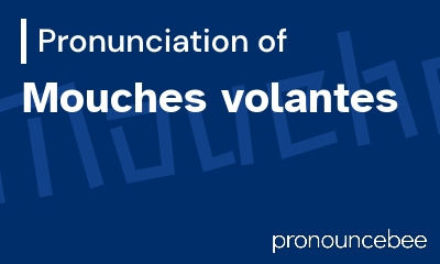 how to pronounce mouches-volantes feature image