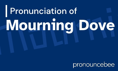 how to pronounce mourning-dove feature image