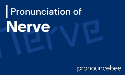how to pronounce nerve feature image