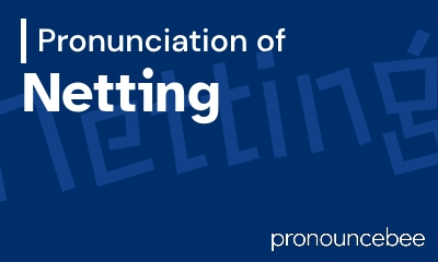 how to pronounce netting feature image