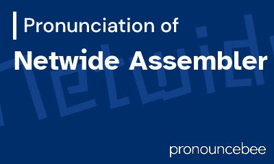 how to pronounce netwide-assembler feature image