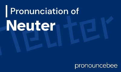 how to pronounce neuter feature image