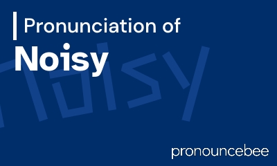 how to pronounce noisy feature image