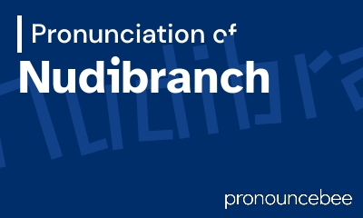 how to pronounce nudibranch feature image