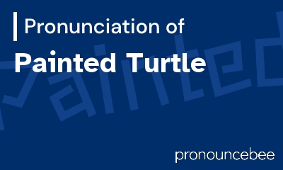 how to pronounce painted-turtle feature image