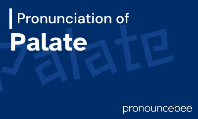 how to pronounce palate feature image