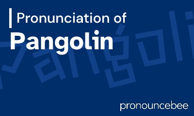 how to pronounce pangolin feature image