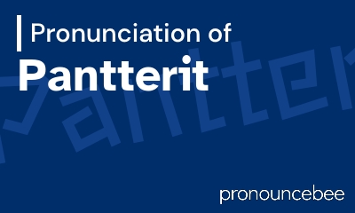 how to pronounce pantterit feature image