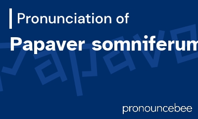 how to pronounce papaver-somniferum feature image