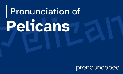 how to pronounce pelicans feature image