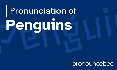 how to pronounce penguins feature image