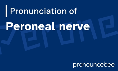 how to pronounce peroneal-nerve feature image