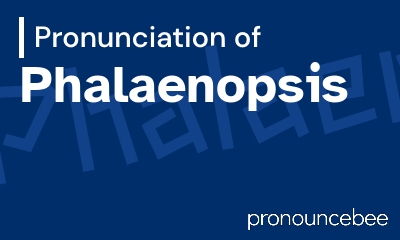 how to pronounce phalaenopsis feature image