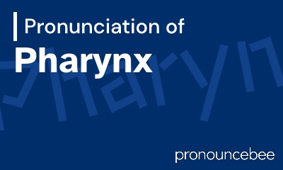 how to pronounce pharynx feature image