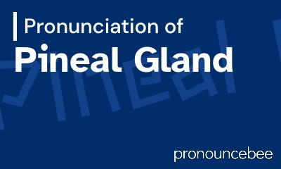 how to pronounce pineal-gland feature image