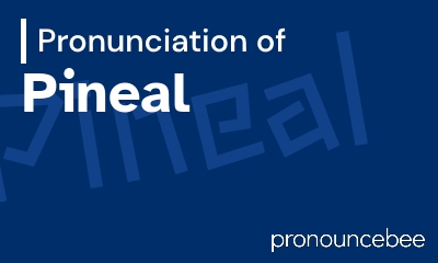how to pronounce pineal feature image