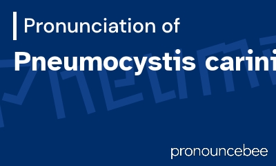 how to pronounce pneumocystis-carinii feature image