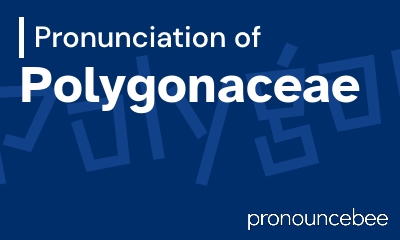 how to pronounce polygonaceae feature image
