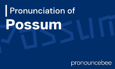 how to pronounce possum feature image