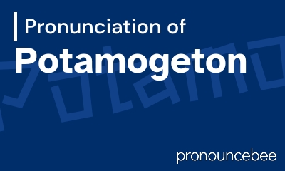 how to pronounce potamogeton feature image