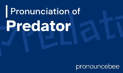 how to pronounce predator feature image