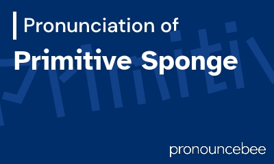 how to pronounce primitive-sponge feature image