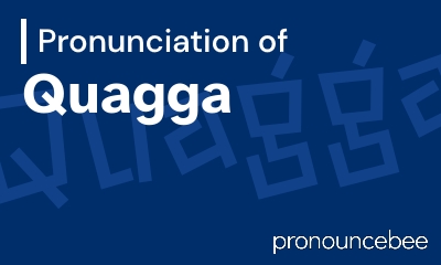 how to pronounce quagga feature image