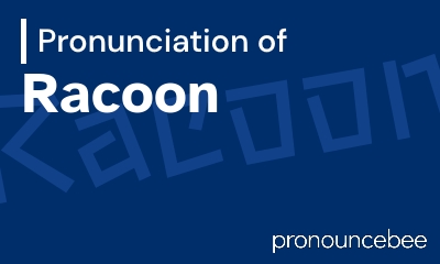 how to pronounce racoon feature image