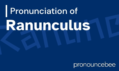 how to pronounce ranunculus feature image