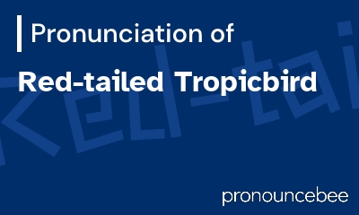 how to pronounce red-tailed-tropicbird feature image