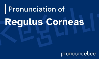 how to pronounce regulus-corneas feature image