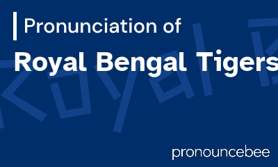 how to pronounce royal-bengal-tigers feature image