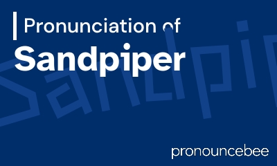 how to pronounce sandpiper feature image