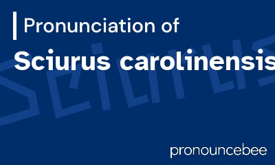 how to pronounce sciurus-carolinensis feature image