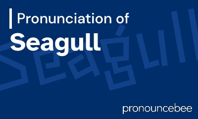 how to pronounce seagull feature image