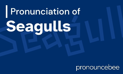 how to pronounce seagulls feature image
