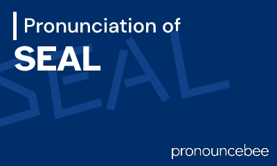 how to pronounce seal feature image