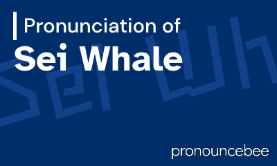 how to pronounce sei-whale feature image
