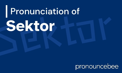 how to pronounce sektor feature image