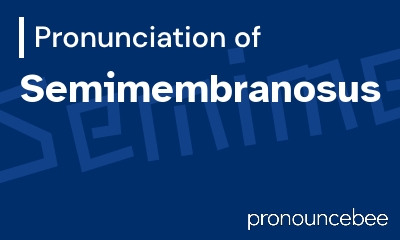 how to pronounce semimembranosus feature image