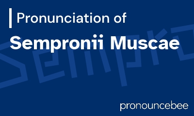 how to pronounce sempronii-muscae feature image