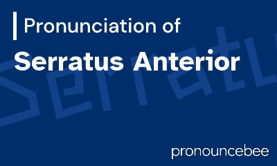 how to pronounce serratus-anterior feature image